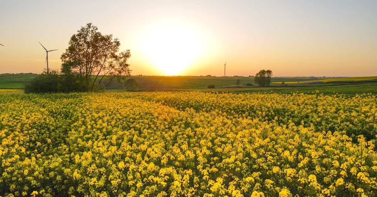 Efficient AI Framework Improves Ultra-Short-Term Renewable Power Forecasting