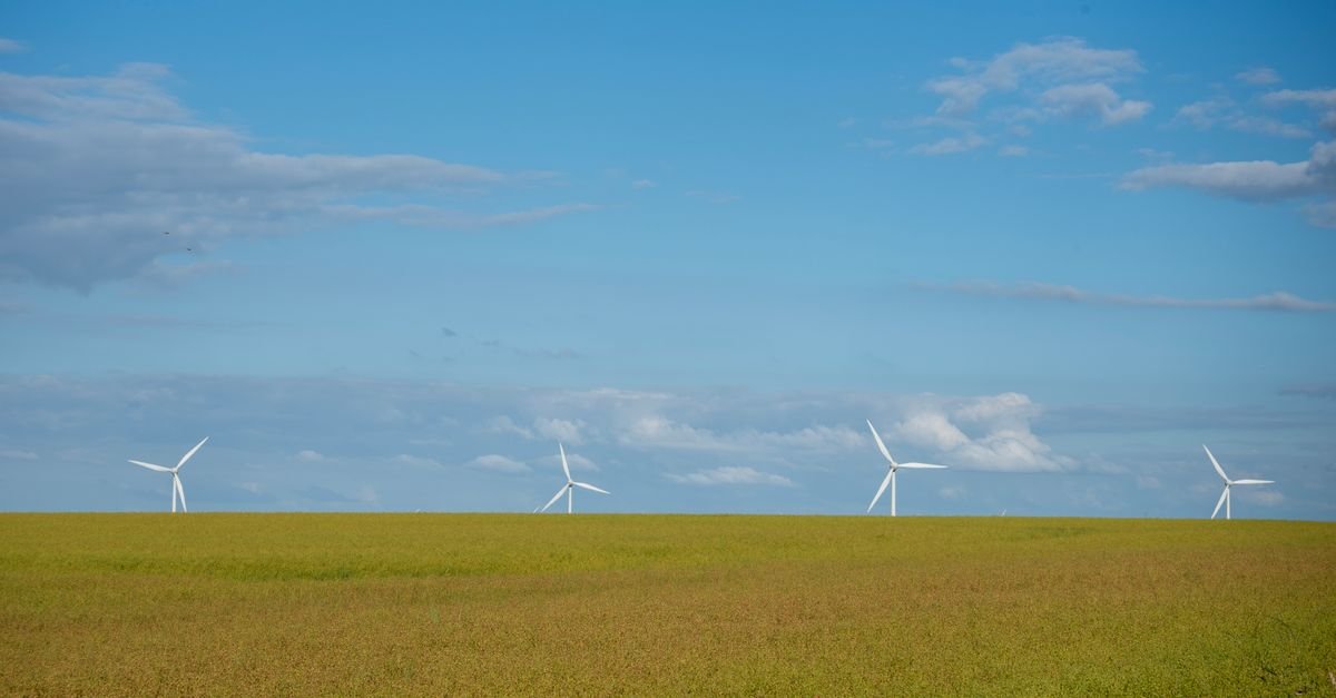 Ireland's solar capacity poised to exceed 3.3 GW by year-end