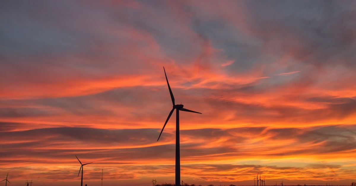 Study Weighs Bat Protection Trade-offs Against Wind Farm Fatigue