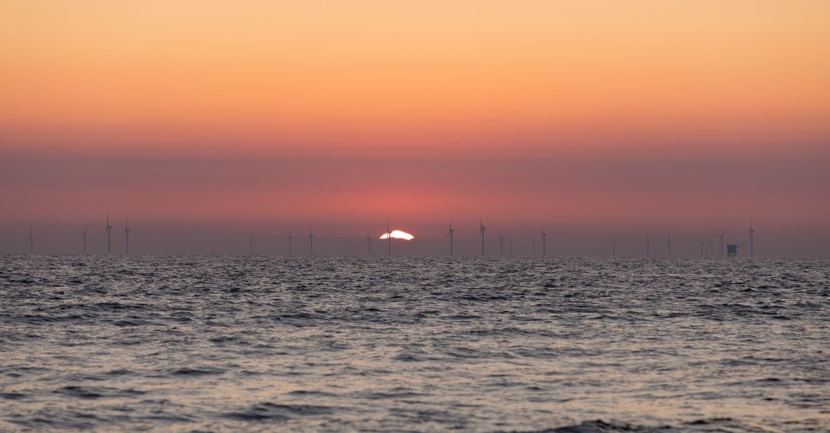 Encomara's Squid Floating Wind Connector Nears Commercial Deployment