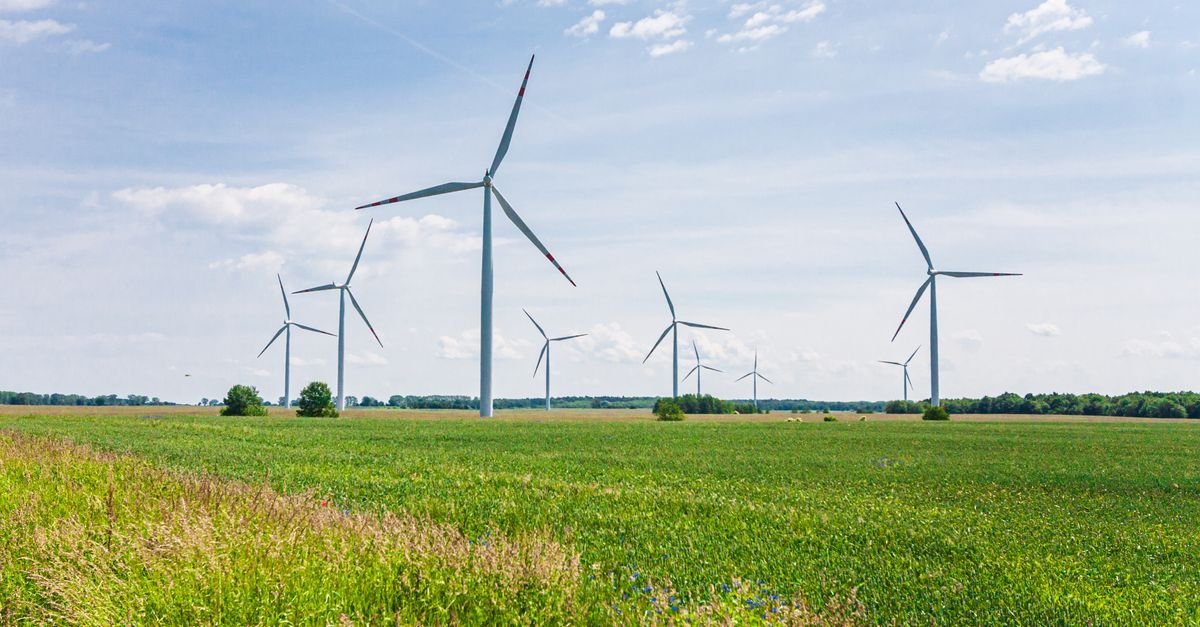 AI Model Optimizes Wind Farm Wake Control for Power and Fatigue