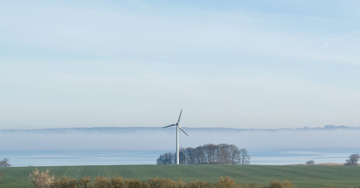 Floating Wind Turbine Wake Dynamics Revealed in Wind Tunnel Study