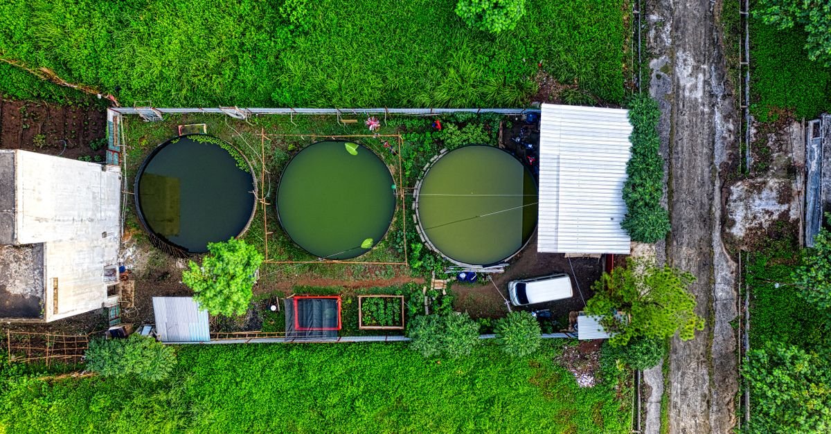 Two-Stage Reactor Converts Food Waste to Hydrogen and Methane